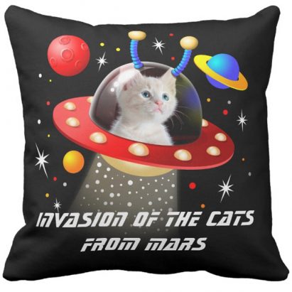 Put Your Cat in a UFO Sci Fi Scene Cushion