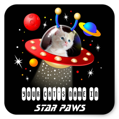 Personalised Your cats name and picture in a Sci-Fi Sticker