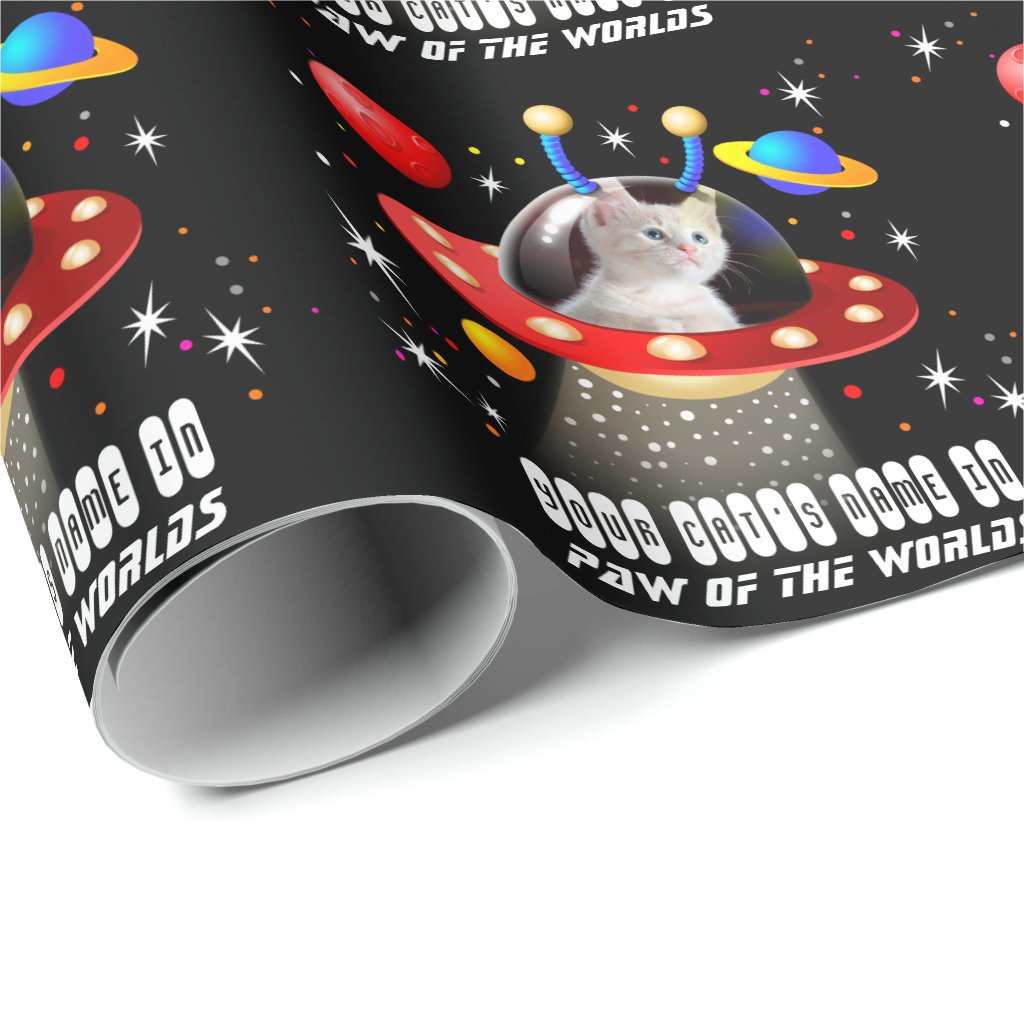 Moose Disco